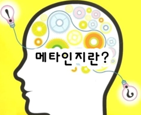 메타1976 이미지