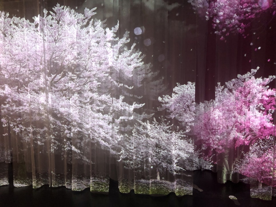 블루밍(blooming) 이미지