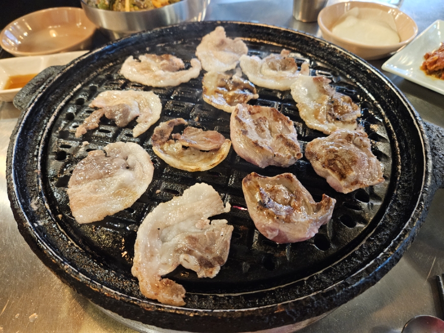 접시고기 이미지