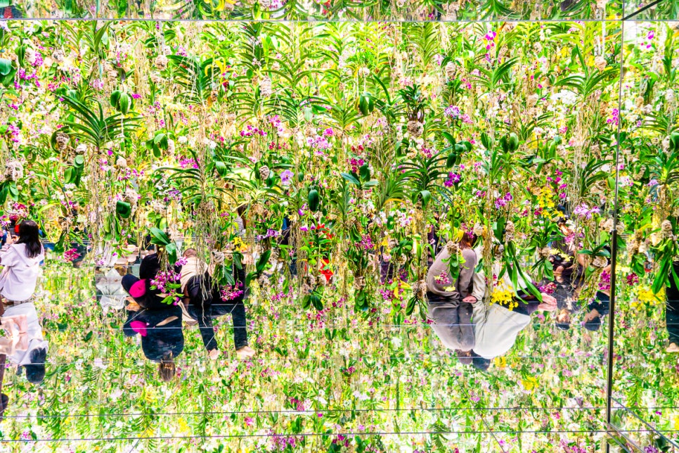 랩Flowers 이미지
