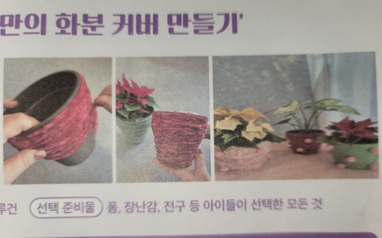 마리스플라워 이미지
