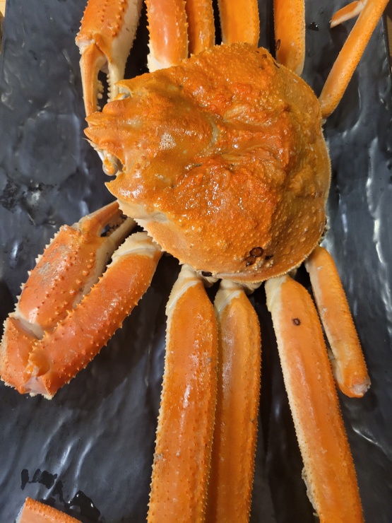 참치는못참치 이미지