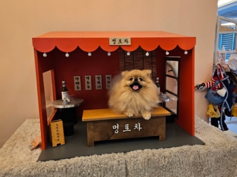 아따멍멍 이미지