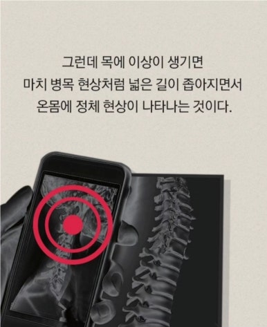 피부봄날 이미지