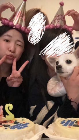 참숯구이양갈비랑꼬치랑 이미지