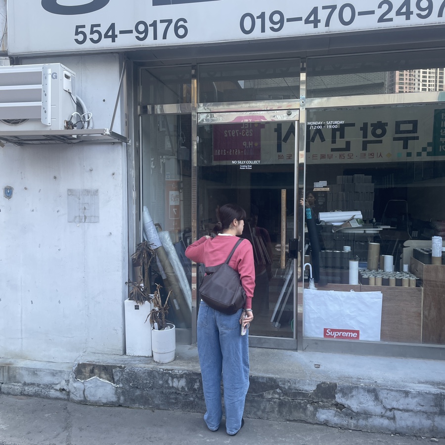 노실리콜렉트 이미지