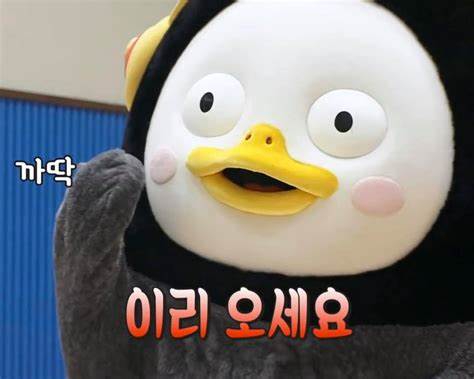 태닝아일랜드 이미지