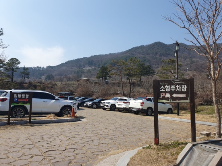 아씨국수 이미지