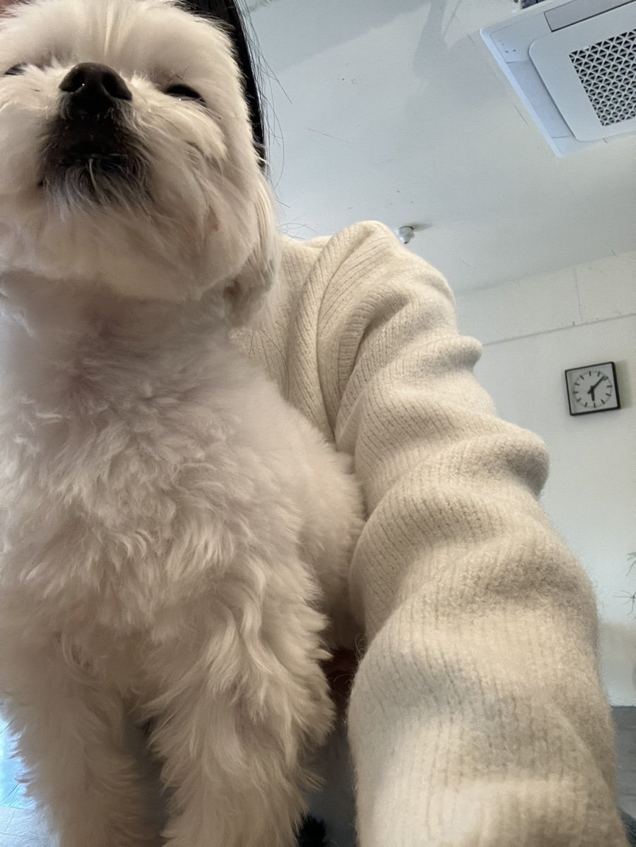 올이즈웰 이미지