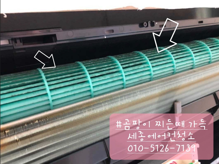 세종에코플러스 이미지