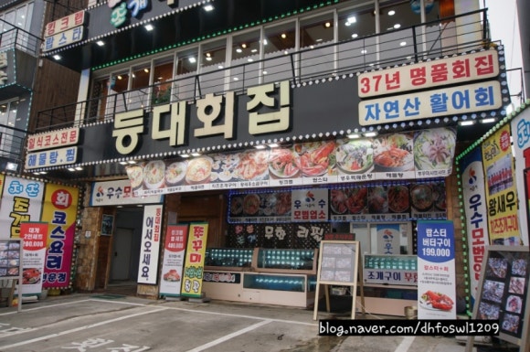 등대이모 이미지
