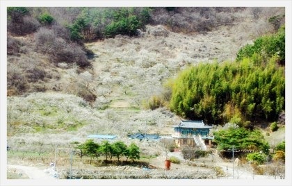 원동포장 이미지