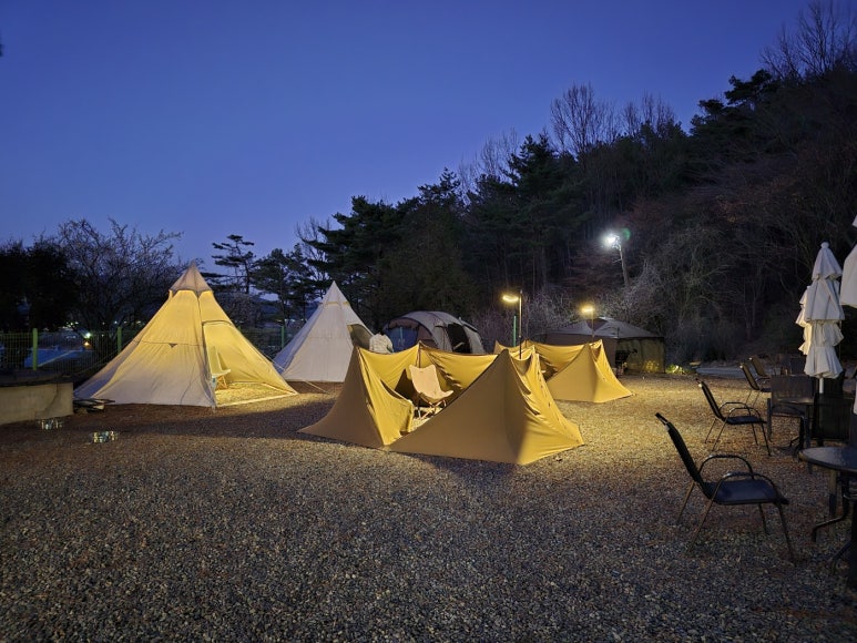 금불사 칼국수 이미지