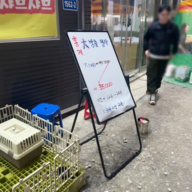불나리 이미지