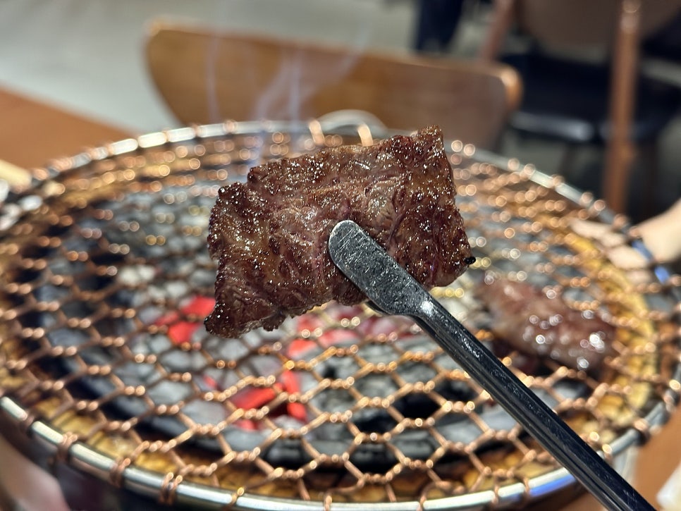 지구마루 이미지