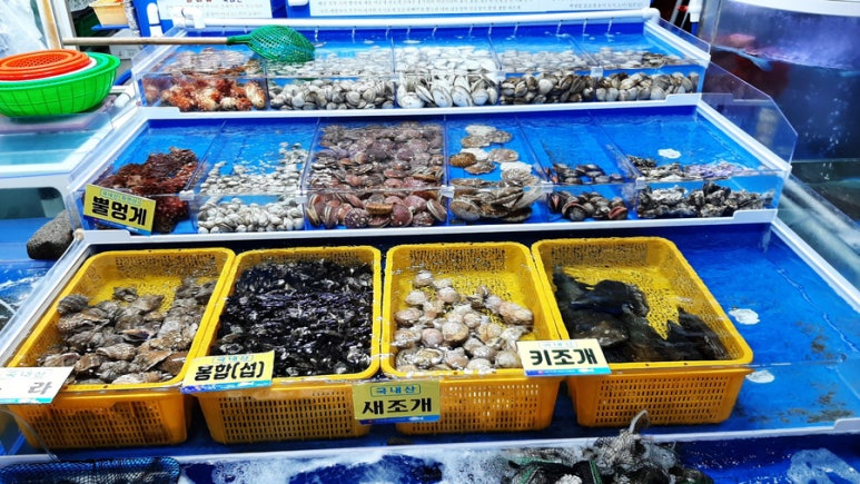 삼복수산 이미지