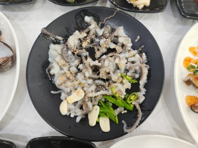 뻘속낙지 이미지