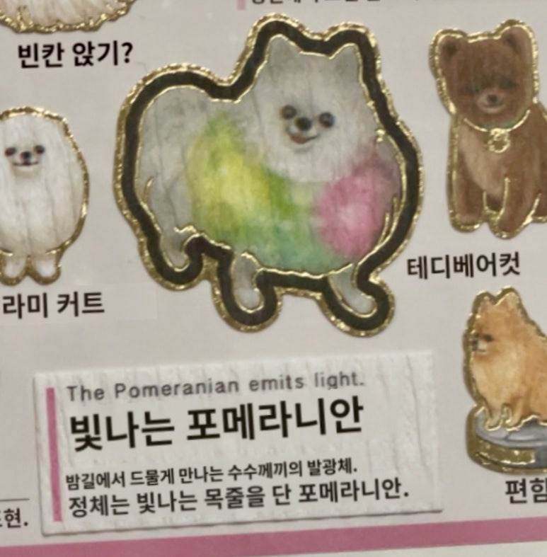 버섯이네잡화점 이미지