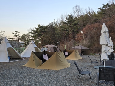금불사 칼국수 이미지