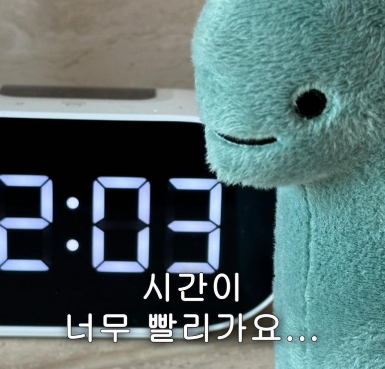 제주돈이야기 이미지