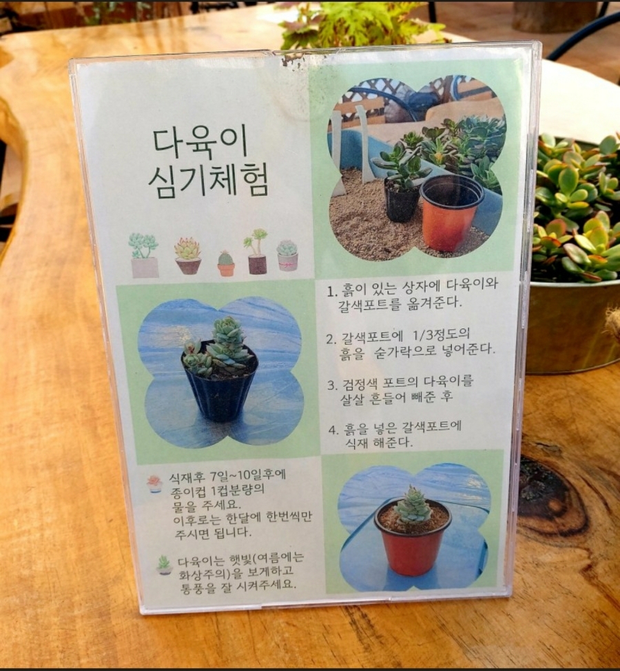 화원상회 이미지