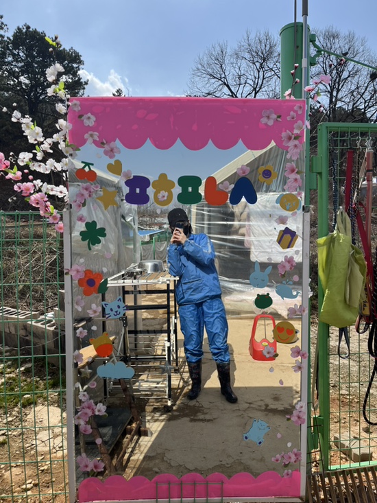 꿀탕탕후루 이미지
