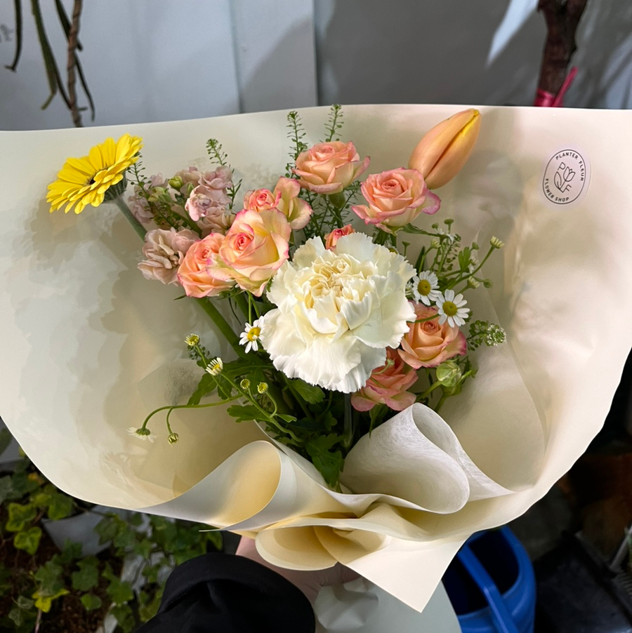 플랑떼플레르 이미지