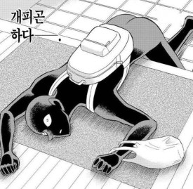 바니바니 이미지