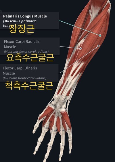 공감휘트니스 이미지