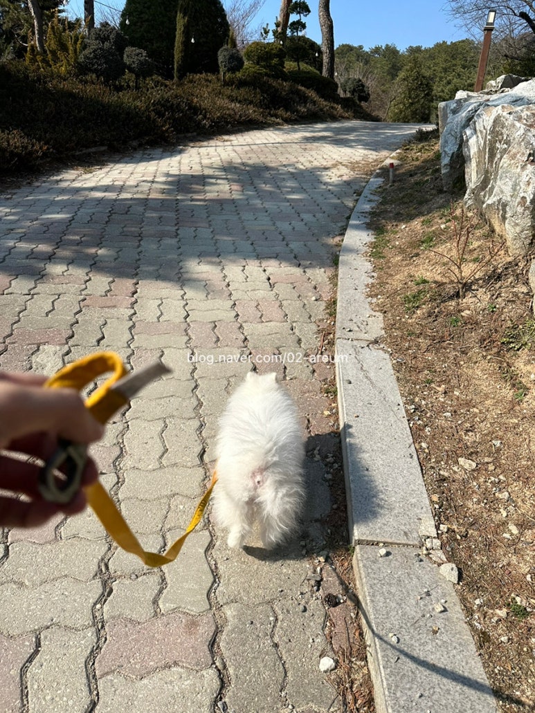 헬리녹스남산 이미지