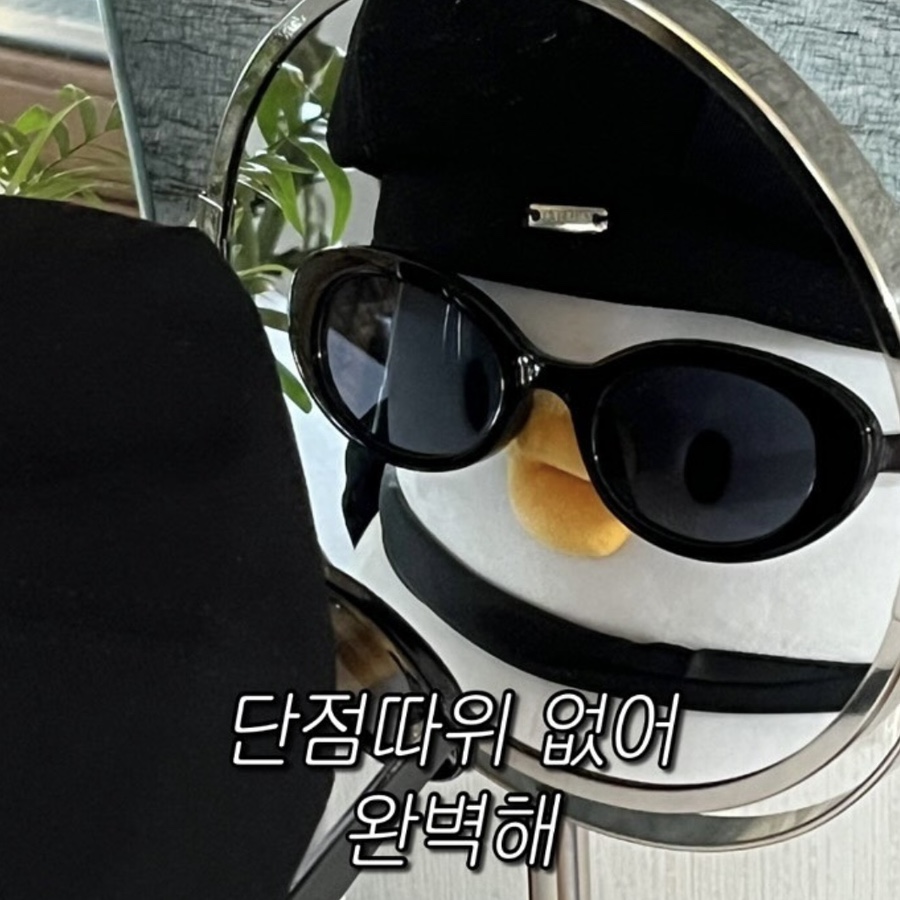 더오리 이미지