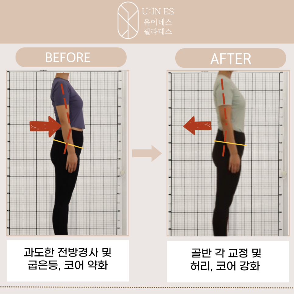 유이네스 이미지