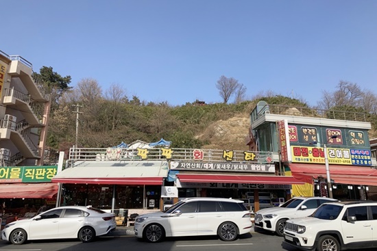 팔팔회센타 이미지