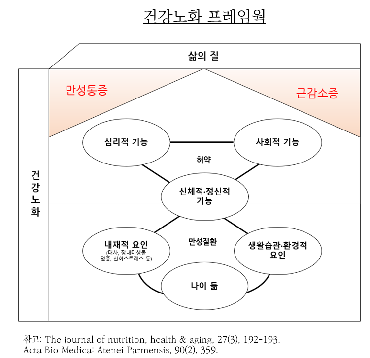 안원식서울마취통증의학과의원 이미지