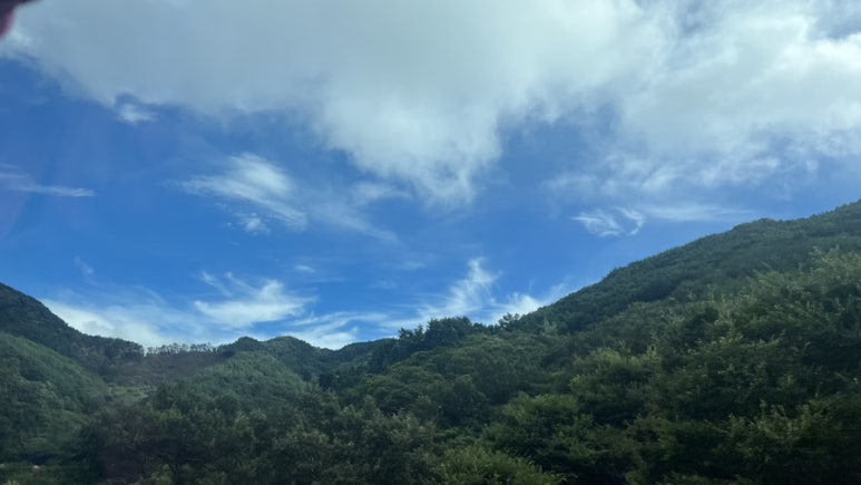 금산인삼랜드(통영)휴게소 소떡소떡 이미지