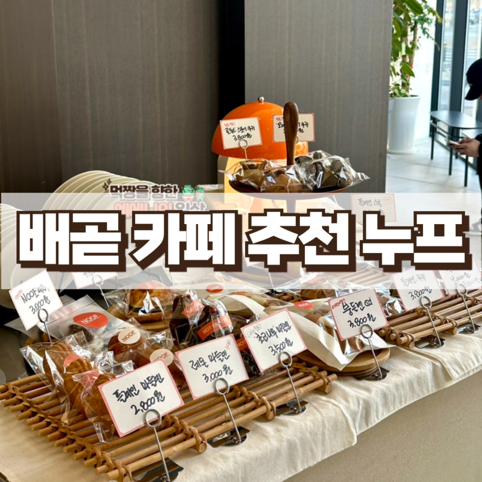 누프 이미지