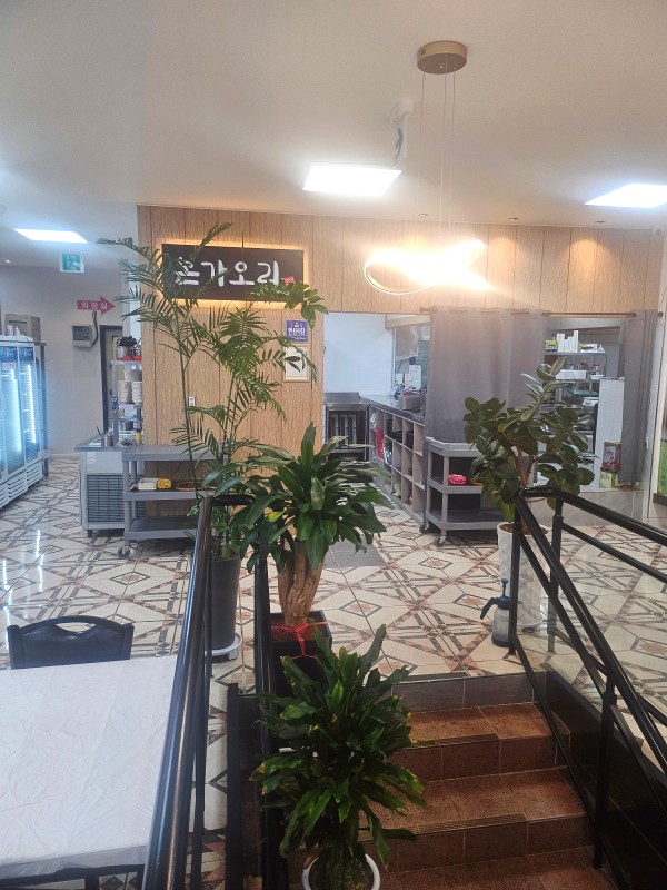 본가오리 이미지