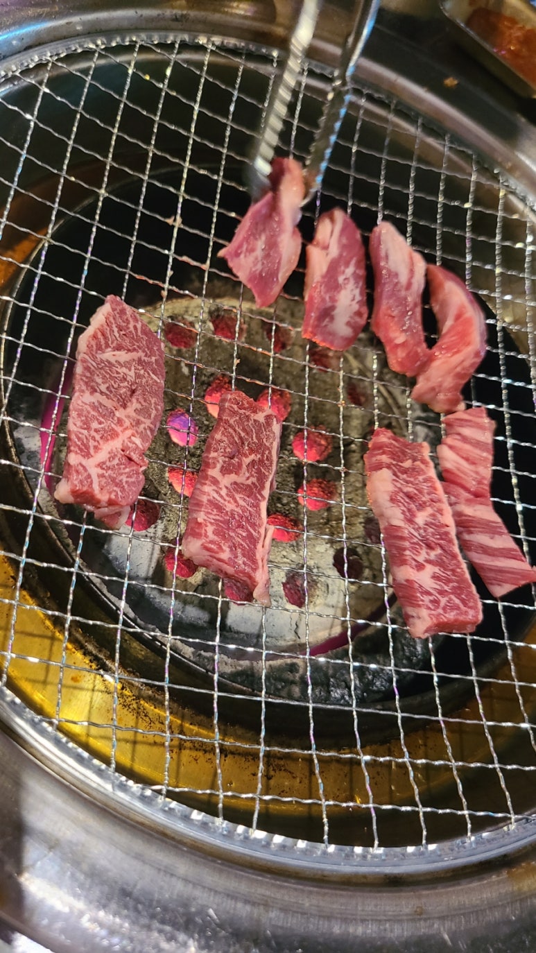 초심가 이미지