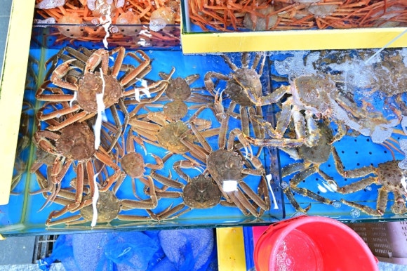 대성수산14호 이미지