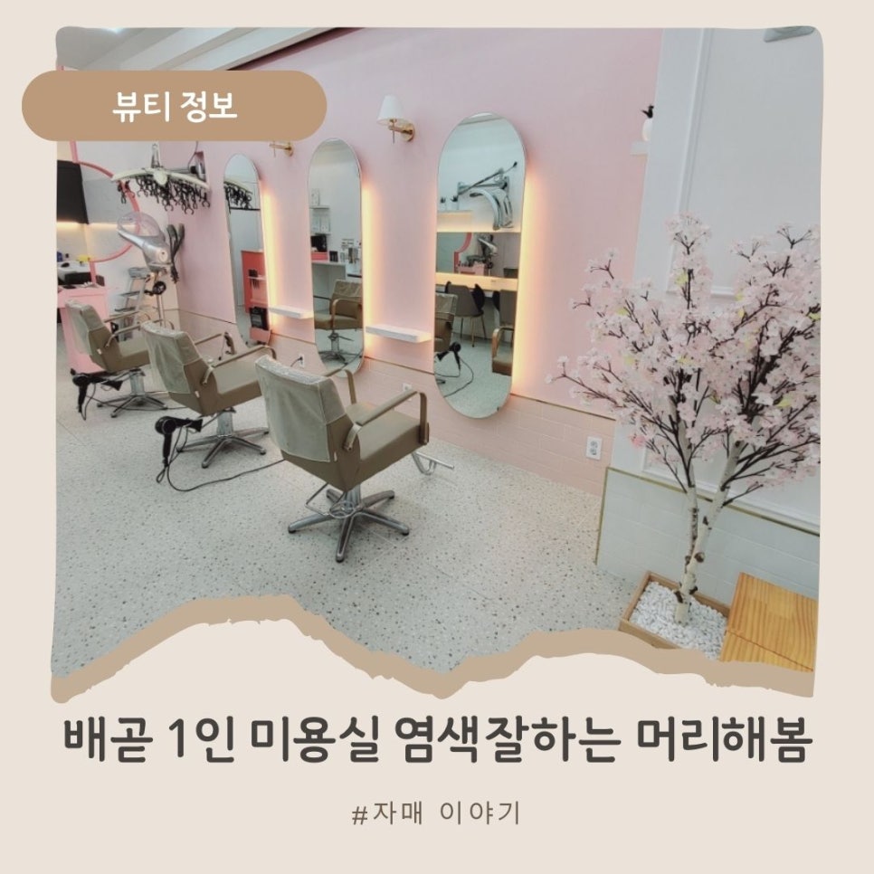 머리해,봄 이미지