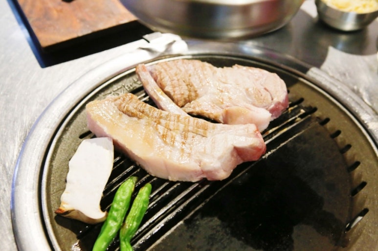 빽고기 이미지