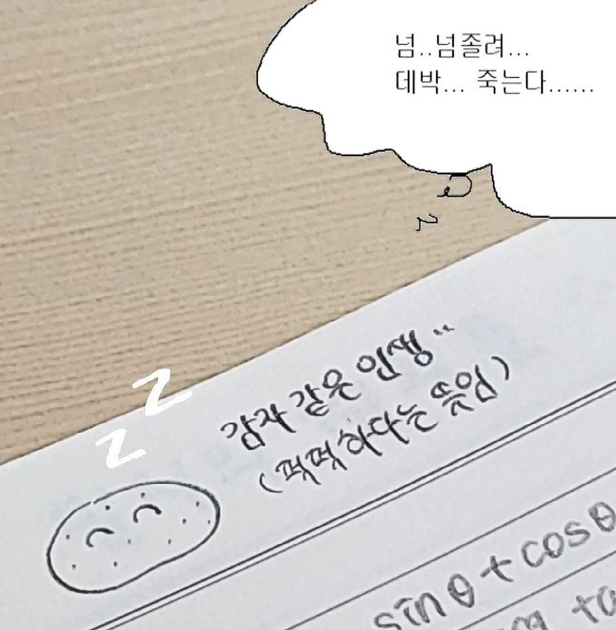 화풍난양 이미지