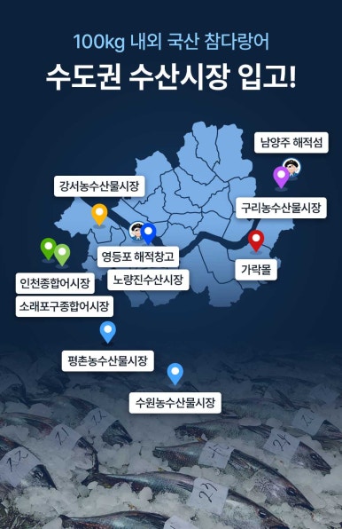 다랑어참치회 이미지