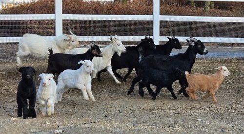 삼국유사테마파크 이미지
