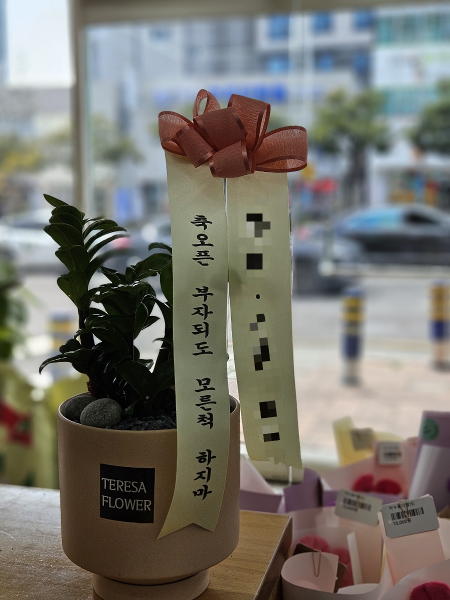 테레사플라워 이미지