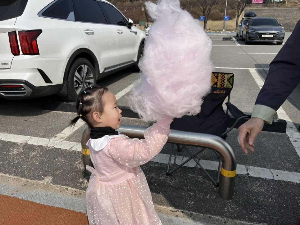 바이킹푸드 이미지