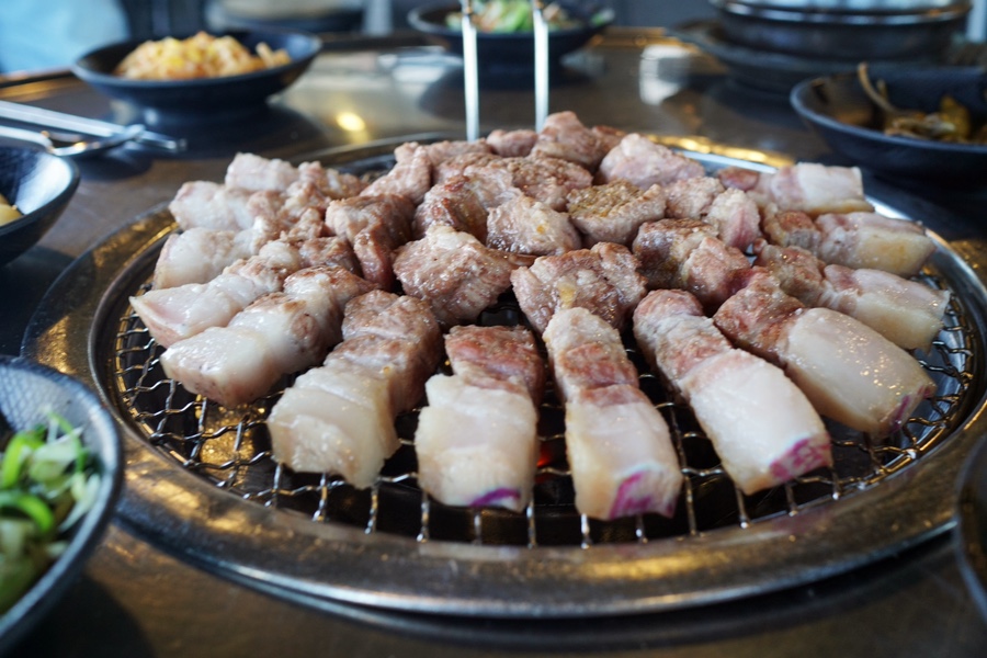 흥분돼지 이미지