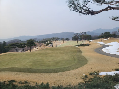 개나리의전 이미지