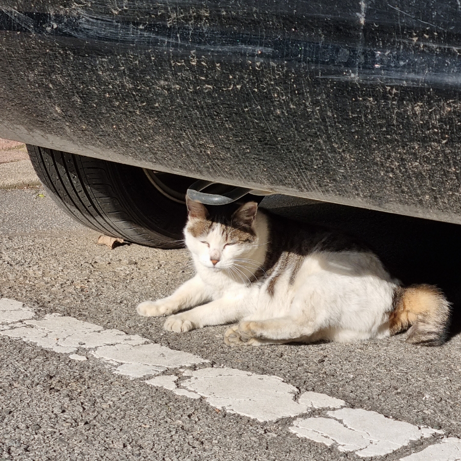 공차광주기독병원 이미지