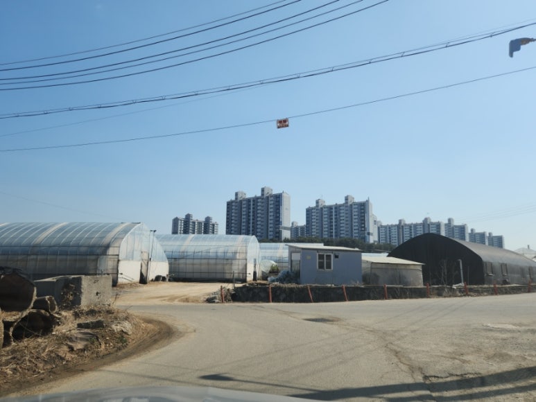 임마누엘 농장 이미지